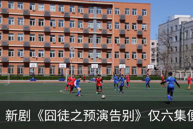 新剧《囧徒之预演告别》仅六集便获得高分赞誉，成为新的追剧亮点